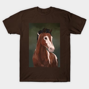 Bay Pinto Horse T-Shirt